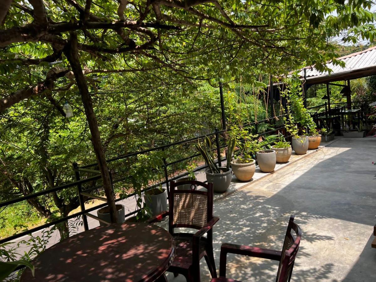 The Traveller'S Hostel & Private Rooms Sigiriya Dış mekan fotoğraf