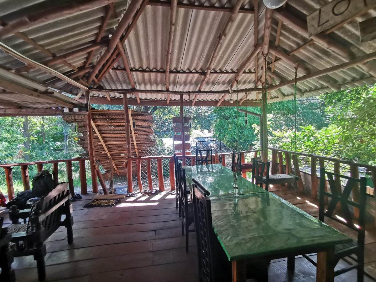 The Traveller'S Hostel & Private Rooms Sigiriya Dış mekan fotoğraf